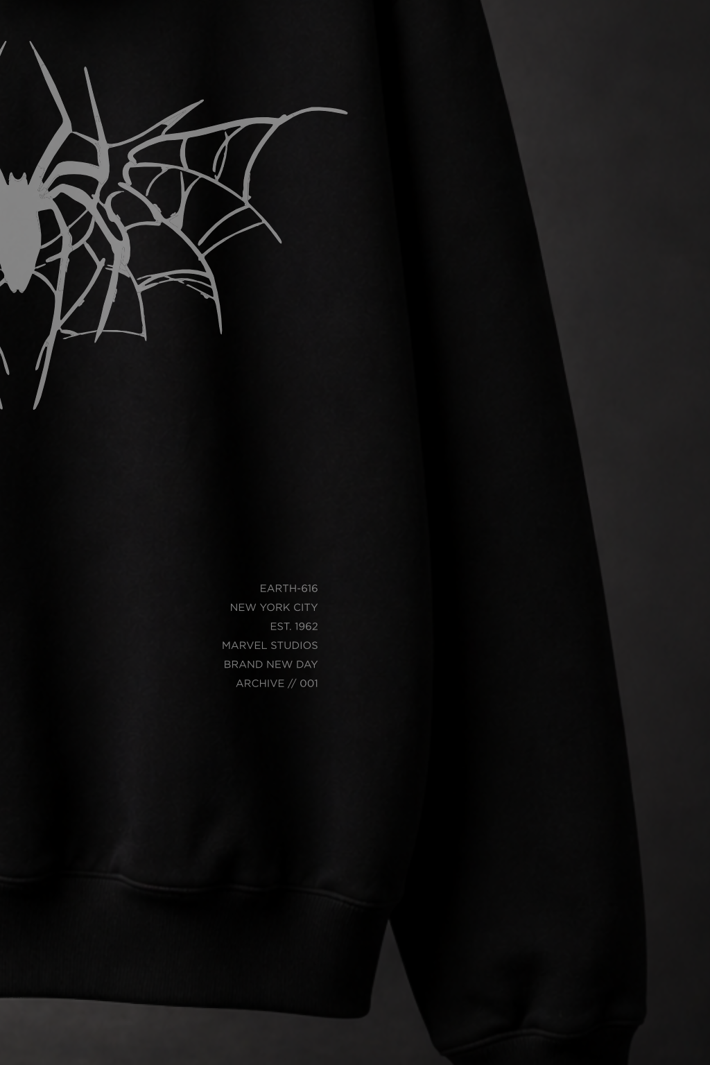 Spider-Man: Brand New Day - HOODIE