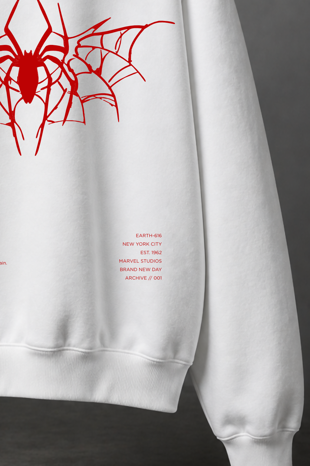 Spider-Man: Brand New Day - HOODIE